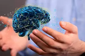 La Neurociencia ha comprobado que los momentos de descanso y conexión con la realidad promueven la actividad de las redes neuronales.