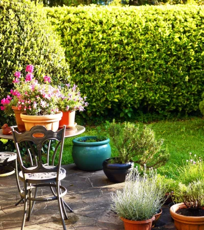 3 trucos caseros de la abuela para que tu jardín luzca radiante