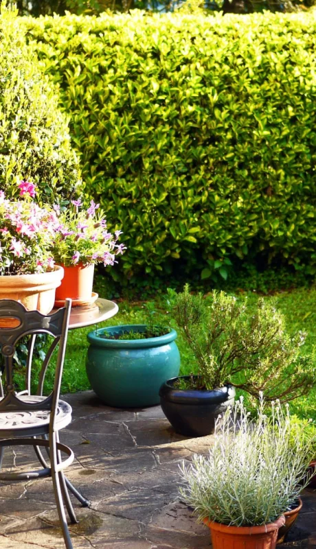 3 trucos caseros de la abuela para que tu jardín luzca radiante