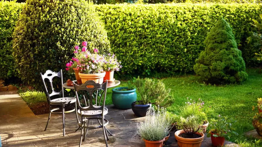 Es posible tener un jardín libre de plagas sin recurrir a químicos que puedan dañar tu salud o la de tus mascotas.