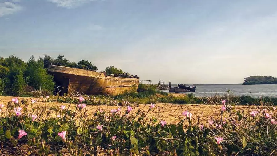 Colón, Entre Ríos. El lugar donde muere una mole de cemento.
