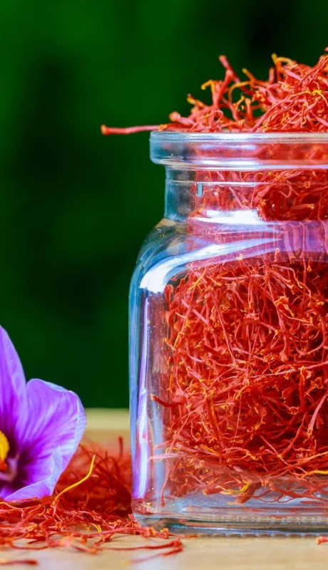Azafrán en hebras, un producto muy codiciado