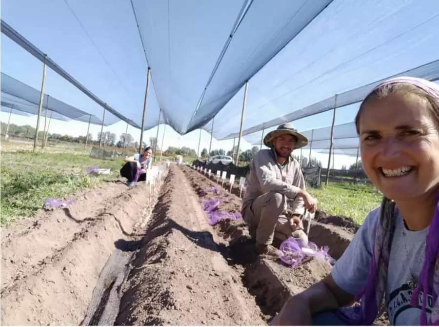 Luciana Poggi, especialista del INTA