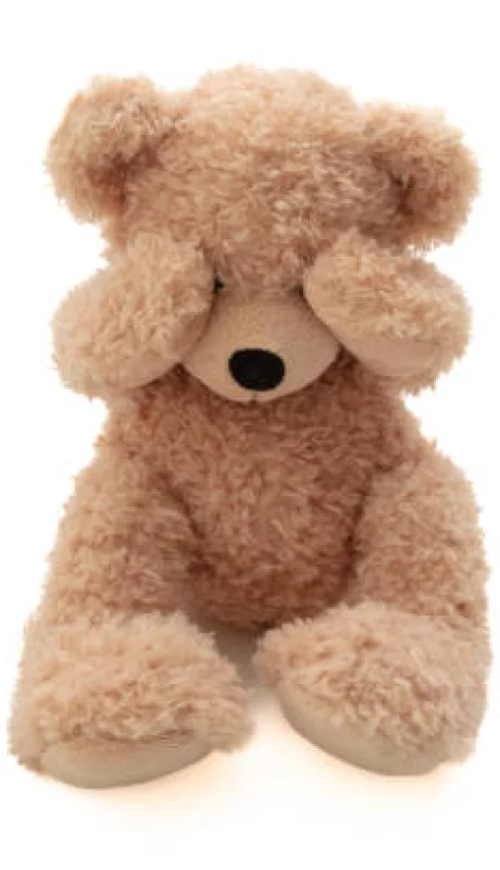 ¡Alerta! Un osito con Inteligencia Artificial desata el pánico por dar consejos sexuales a niños