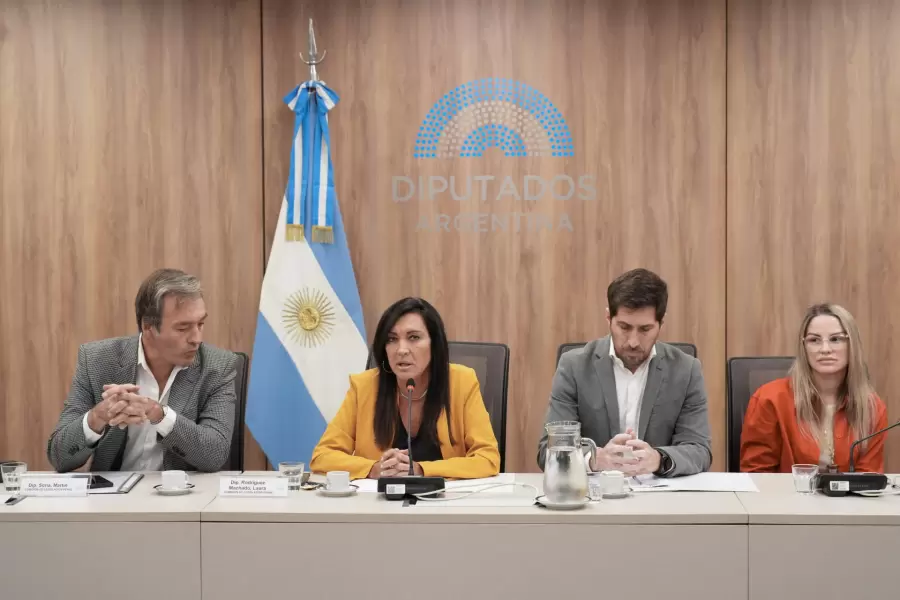 Análisis en comisiones de la Cámara baja