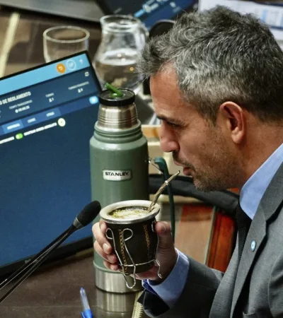 Martín Menem mantuvo la presidencia