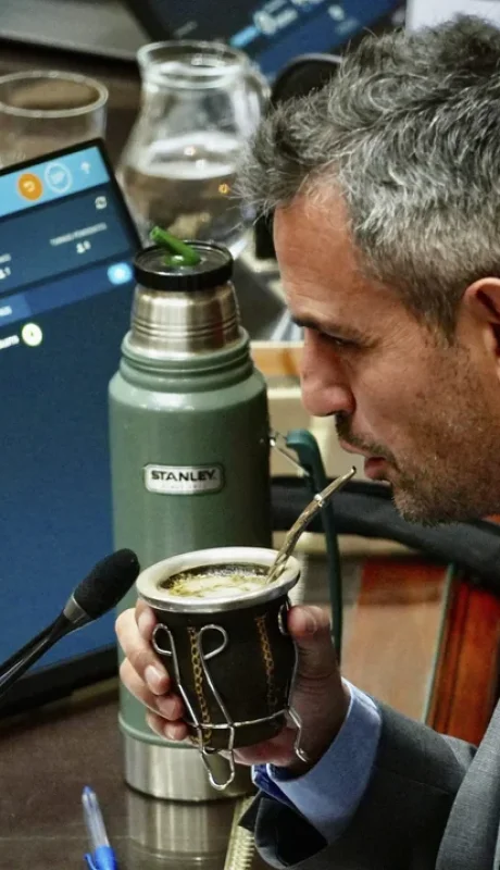 Martín Menem tendrá una pulseada difícil por el tratamiento de la Reforma Laboral. (Foto: web / NA)