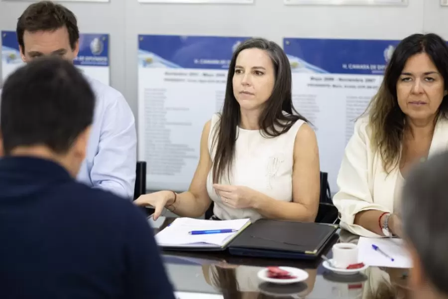 La ministra de Seguridad Mercedes Rus en comisiones