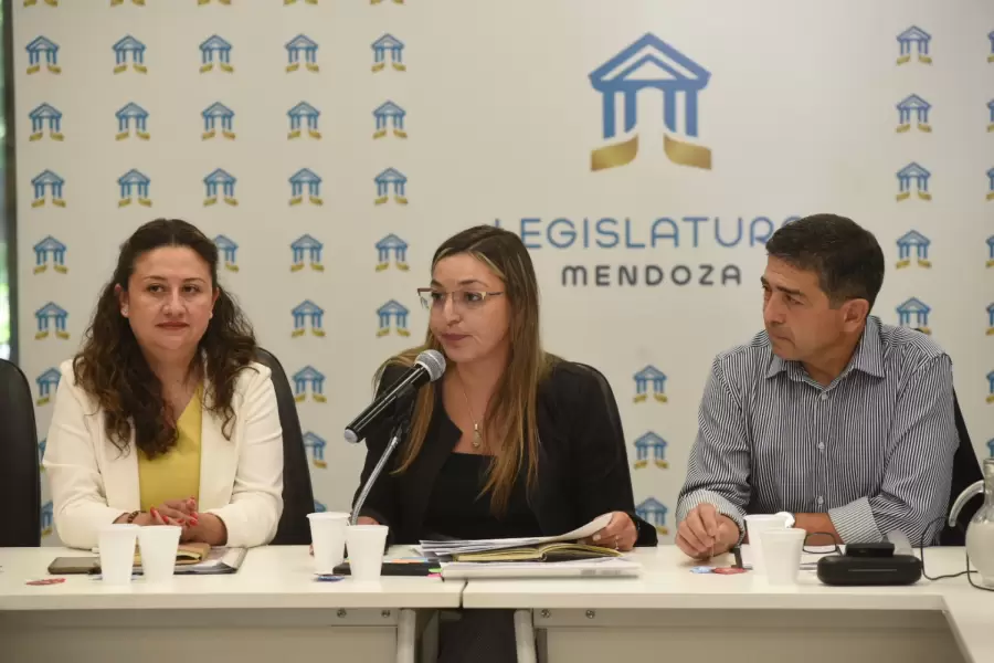 La senadora Yamel Ases, presidenta de la Comisión de Ambiente. (Fuente: Prensa Legislatura de Mendoza)