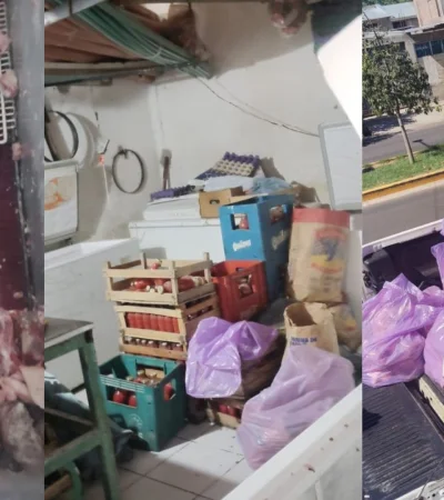 Los efectivos decomisaron gran cantidad de productos cárnicos que habían perdido la cadena de frío y eran transportados sin las medidas de higiene.