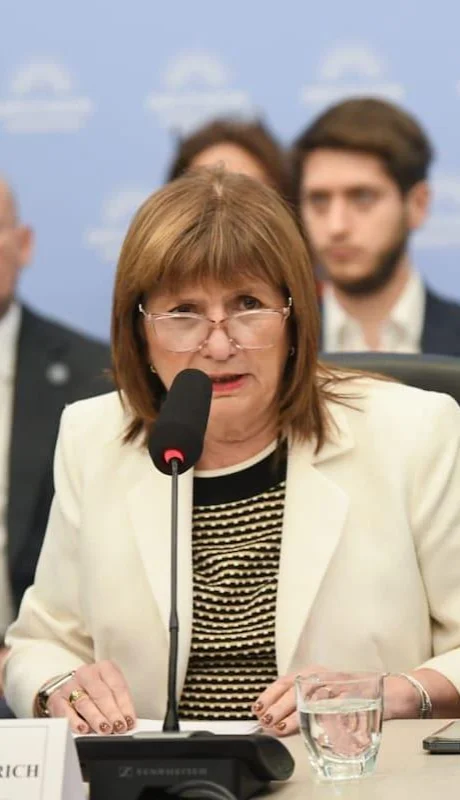 "Queremos terminar con la industria del juicio", aseguró la actual senadora Patricia Bullrich al explicar el proyecto.