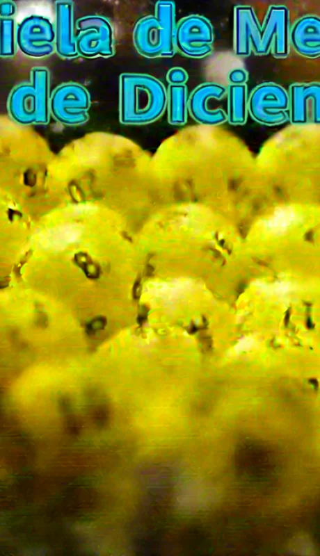 Quiniela de Mendozxa del 9 de diciembre