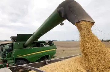 Baja de retenciones al agro: las bolsas de cereales y de comercio apoyaron la medida