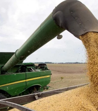 Cosecha de soja