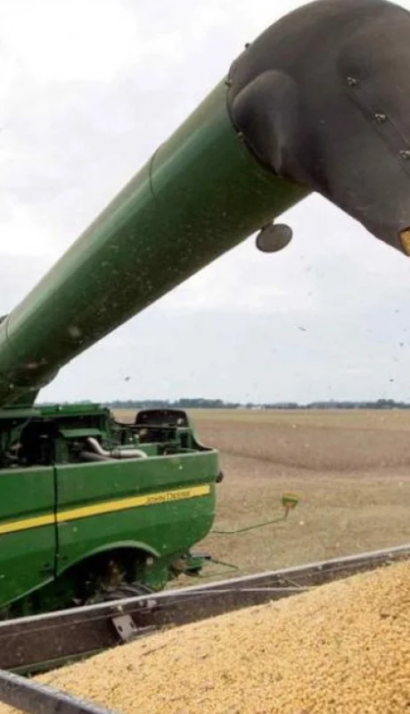 Cosecha de soja