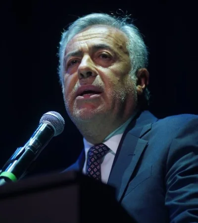 Alfredo Cornejo en el Consejo de Mayo