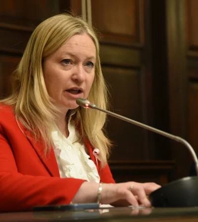 Hebe Casado, vicegobernadora