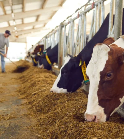 Desde la Sociedad Rural advierten que los altos costos y la falta de infraestructura están frenando el desarrollo ganadero en zonas áridas.