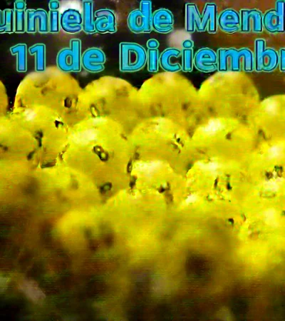 Quiniela de Mendoza del 11 de diciembre