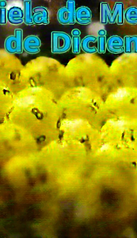 Quiniela de Mendoza del 11 de diciembre