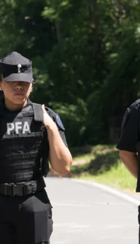 Allanamientos de la causa