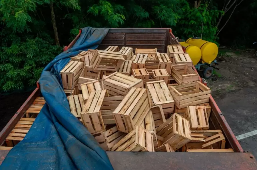 Camionero transportaba drogas