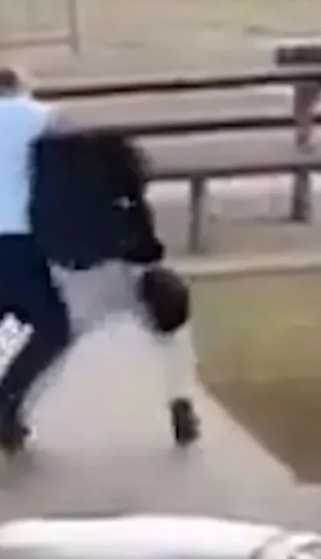 El video del hombre que enfrentó a los terroristas en Australia.