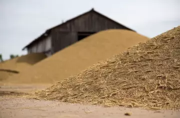 Argentina concretó el primer embarque de trigo a China e inauguró una nueva ruta comercial