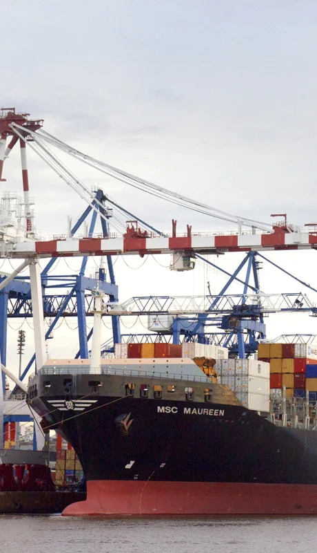 Puerto de Buenos Aires