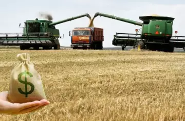 Nuevo Régimen Cambiario: Impacto en el Campo y Retenciones