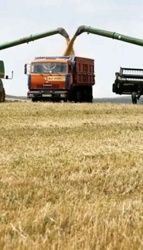 Nuevo esquema. El ajuste del dólar por inflación busca evitar el atraso cambiario.