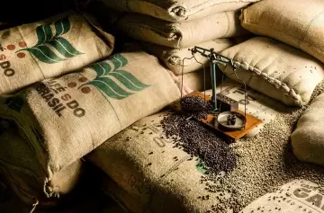 Caída récord: exportaciones de café de Brasil a Estados Unidos se desplomaron 54,9% por los aranceles de Trump