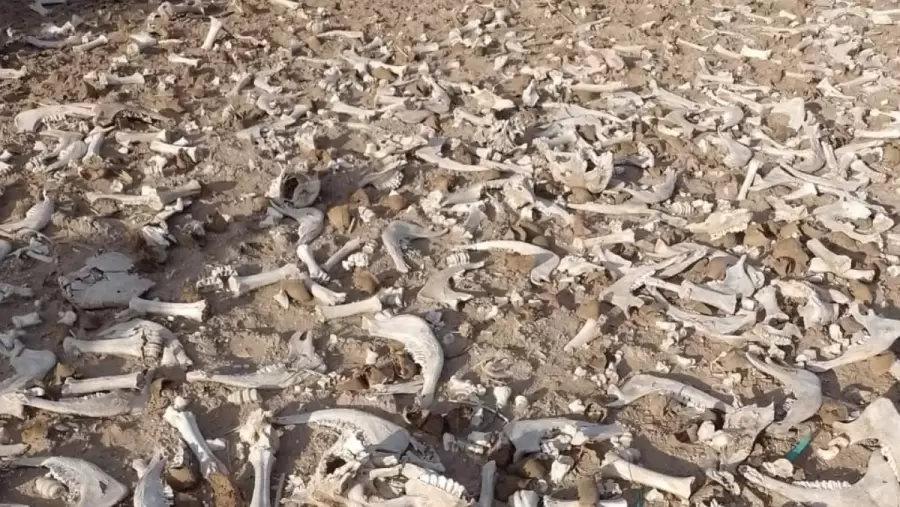 Foto Ministerio de Seguridad