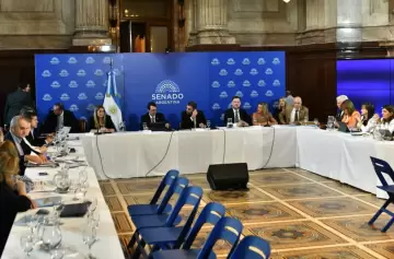 El Senado no incluirá en el Presupuesto el capítulo rechazado en Diputados