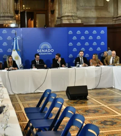 Plenario de comisiones en el Senado