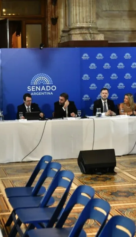 Plenario de comisiones en el Senado
