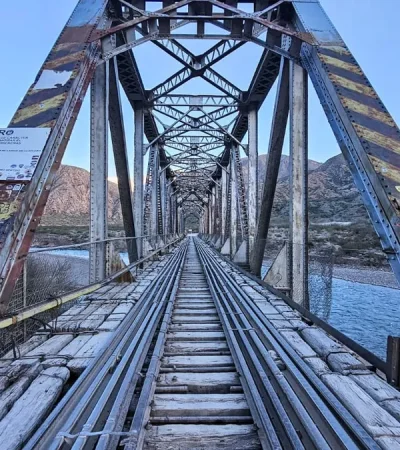 Conocé quiénes tienen permiso para circular.
