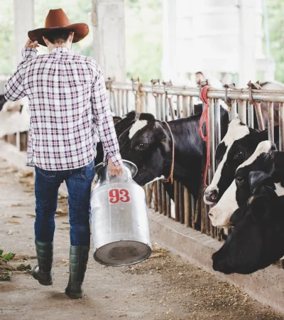 El factor clave detrás del precio de la carne.