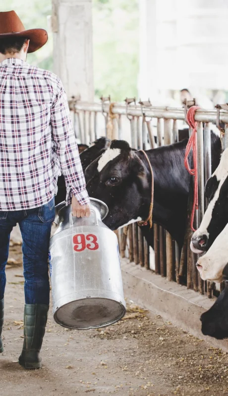 El factor clave detrás del precio de la carne.