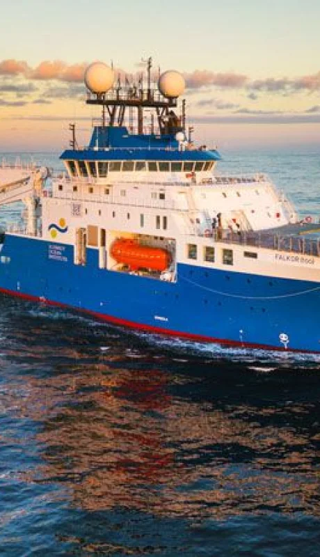 La expedición del CONICET descrubió un insólito hallazo "retro" descansando en el fondo del mar.