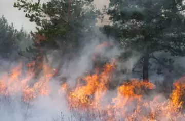 Incendio en Los Alerces: el operativo contra el fuego cumple dos semanas y afecta 340 hectáreas