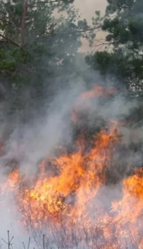 Incendio en Los Alerces: el operativo contra el fuego cumple dos semanas y afecta 340 hectáreas