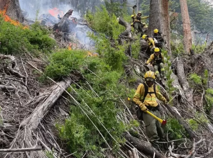 Incendio Lago Menéndez