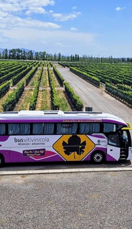 Nuevos perfiles: ante el encarecimiento en dólares, el turismo nacional sostiene la actividad en las principales bodegas mendocinas.