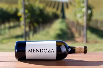 ProMendoza habilita centros de logística en Brasil para exportaciones