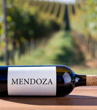 Vinos, frutas y verduras, fuerte en la exportación.