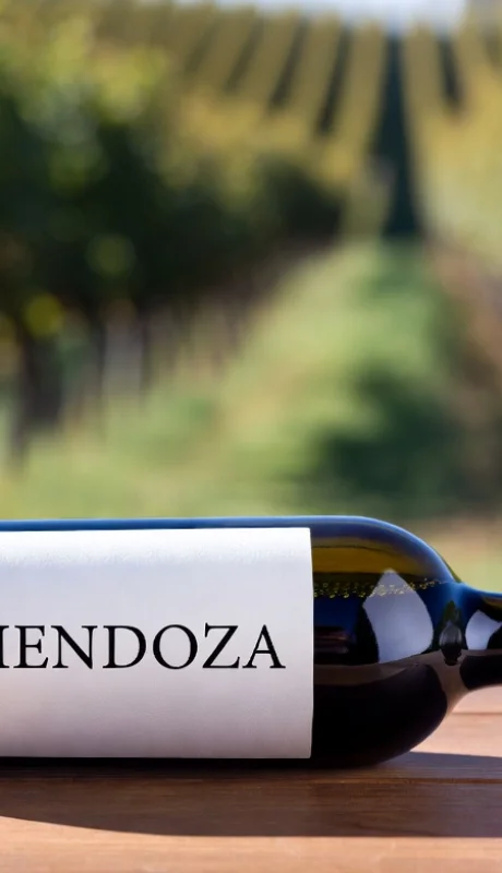 Vinos, frutas y verduras, fuerte en la exportación.