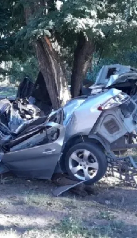 El auto terminó incrustado contra un árbol