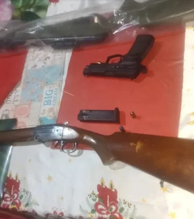 Armas secuestradas en la casa del sospechoso
