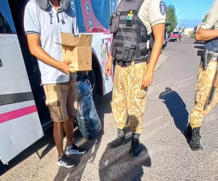 Rescate de una tortuga traficada en Mendoza: peligro por Salmonella.